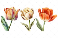 Tulips Watercolor PNG clipart, Watercolor sublimations Product Image 2