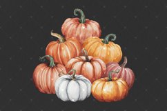 Pumpkin PNG Clipart, Vintage Watercolor Pile of Pumpkins Product Image 4