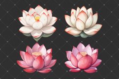 Lotus flower, Water lily, Watercolor floral PNG clipart Product Image 3