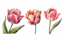 Tulips Watercolor PNG clipart, Watercolor sublimations Product Image 3