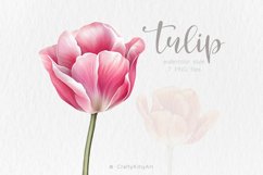 Tulips Watercolor PNG clipart, Watercolor sublimations Product Image 1