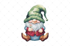 Cute Gnome with Flower, Spring floral Watercolor PNG clipart Product Image 4