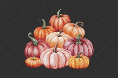 Pumpkin PNG Clipart, Vintage Watercolor Pile of Pumpkins Product Image 5