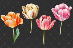 Tulips Watercolor PNG clipart, Watercolor sublimations Product Image 4