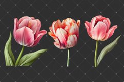 Tulips Watercolor PNG clipart, Watercolor sublimations Product Image 5