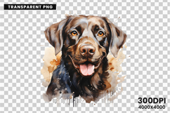 dog, dogs, puppy, puppies, pet, pets, labrador, retriever, bulldog, poodle, beagle, husky, clipart