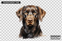 dog, dogs, puppy, puppies, pet, pets, labrador, retriever, bulldog, poodle, beagle, husky, clipart