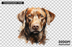 dog, dogs, puppy, puppies, pet, pets, labrador, retriever, bulldog, poodle, beagle, husky, clipart