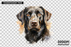 dog, dogs, puppy, puppies, pet, pets, labrador, retriever, bulldog, poodle, beagle, husky, clipart
