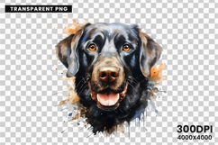 dog, dogs, puppy, puppies, pet, pets, labrador, retriever, bulldog, poodle, beagle, husky, clipart