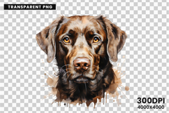 dog, dogs, puppy, puppies, pet, pets, labrador, retriever, bulldog, poodle, beagle, husky, clipart