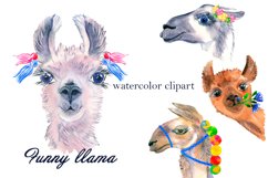 Watercolor Lama Clipart - alpaca swith flowers, portrait Product Image 1