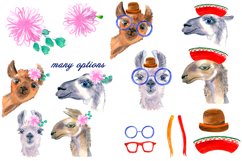 Watercolor Lama Clipart - alpaca swith flowers, portrait Product Image 3