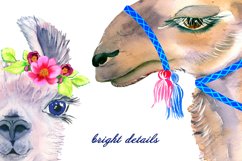 Watercolor Lama Clipart - alpaca swith flowers, portrait Product Image 4