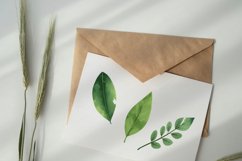 Watercolor Leaves Clipart, PNG File Product Image 4
