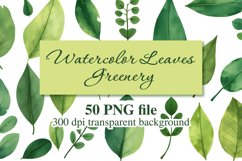 Watercolor Leaves Clipart, PNG File Product Image 1