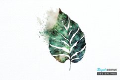 Watercolor Leave PNG Clipart Product Image 1