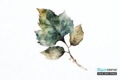 Watercolor Leave PNG Clipart Product Image 1