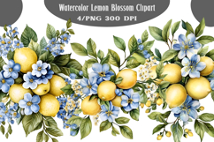 Watercolor Lemon Blossom Clipart Product Image 1