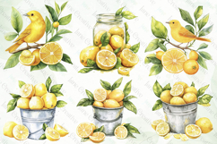 Watercolor Lemon Bundle Clipart Product Image 8