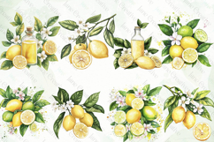 Watercolor Lemon Bundle Clipart Product Image 2