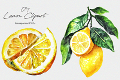 Watercolor Lemon Clipart Product Image 1