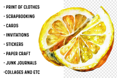 Watercolor Lemon Clipart Product Image 2