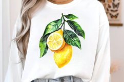 Watercolor Lemon Clipart Product Image 3