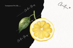 Watercolor Lemon PNG | Fruit PNG Product Image 2