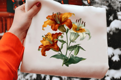 Watercolor Lily Flower Clipart Product Image 2