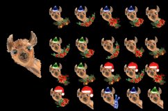 Watercolor Llama christmas clipart - Sublimation designs Product Image 4