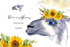 Watercolor Llama Clipart - Sublimation designs bundle Product Image 3