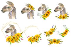 Watercolor Llama Clipart - Sublimation designs bundle Product Image 13