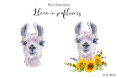Watercolor Llama Clipart - Sublimation designs bundle Product Image 8