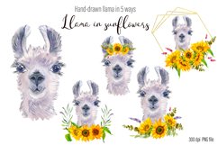 Watercolor Llama Clipart - Sublimation designs bundle Product Image 14