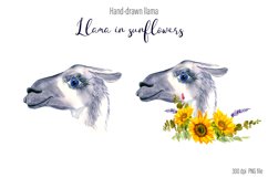 Watercolor Llama Clipart - Sublimation designs bundle Product Image 4