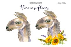 Watercolor Llama Clipart - Sublimation designs bundle Product Image 11