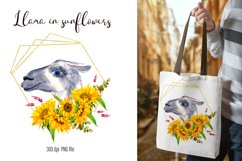 Watercolor Llama Clipart - Sublimation designs bundle Product Image 18