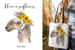 Watercolor Llama Clipart - Sublimation designs bundle Product Image 17