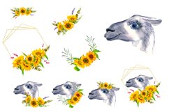 Watercolor Llama Clipart - Sublimation designs bundle Product Image 12