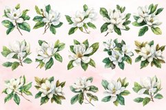 Magnolia large white petals green leaves Clipart Bundle Product Image 3