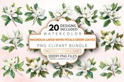 Magnolia large white petals green leaves Clipart Bundle Product Image 1