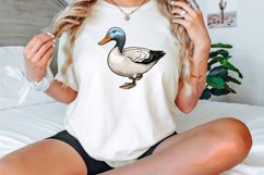 Watercolor Mallard Duck Clipart Bundle Product Image 3