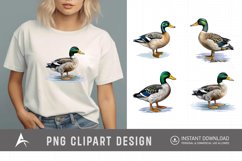 Watercolor Mallard Duck Clipart Product Image 1