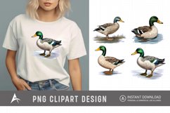 Watercolor Mallard Duck Clipart Product Image 1