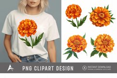 Watercolor Marigold Flower Clipart Product Image 1