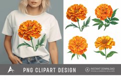 Watercolor Marigold Flower Clipart Product Image 1