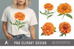 Watercolor Marigold Flower Clipart Product Image 1