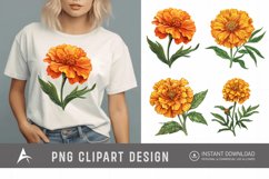 Watercolor Marigold Flower Clipart Product Image 1