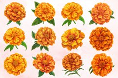 Watercolor Marigold Flower Clipart Bundle Product Image 2